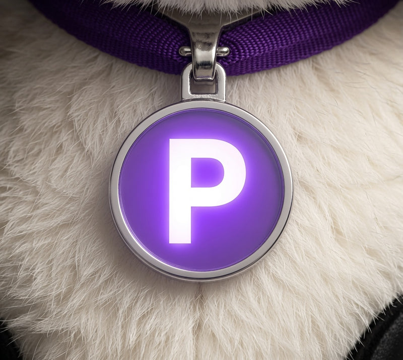La médaille lumineuse de Padoo